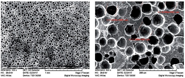 Scanning electron microscope (PA66)